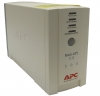 Источник бесперебойного питания APC Back-UPS BK500EI